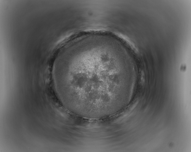 X0000100951350200807081208