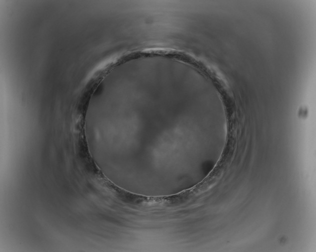 X0000100951351200807081208