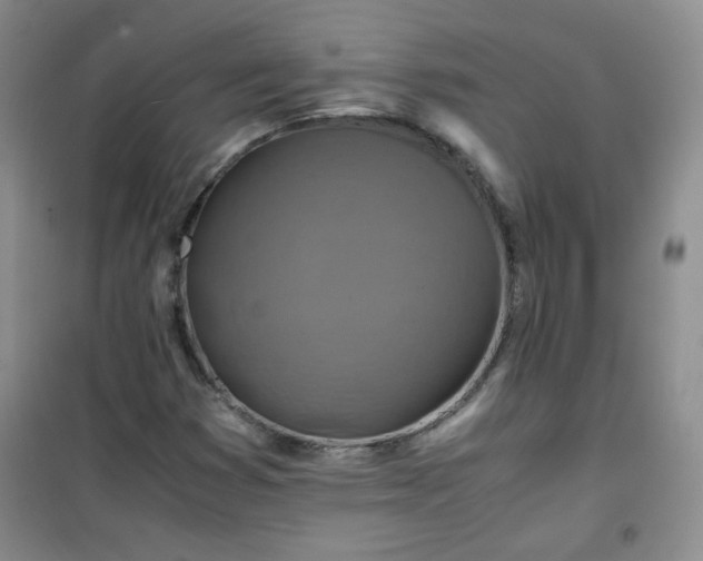 X0000100951353200807081208