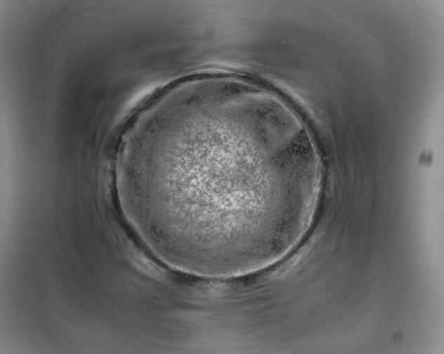 X0000100951355200807081208