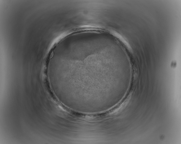 X0000100951357200807081208