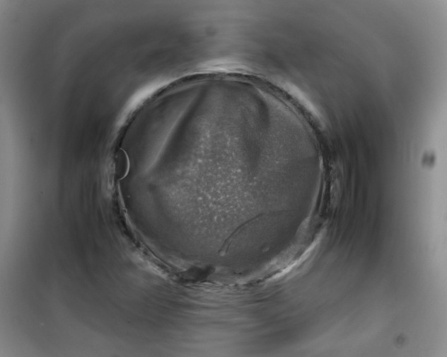 X0000100951358200807081208