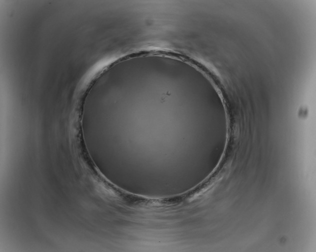 X0000100951359200807081208