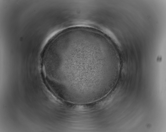X0000100951360200807081208