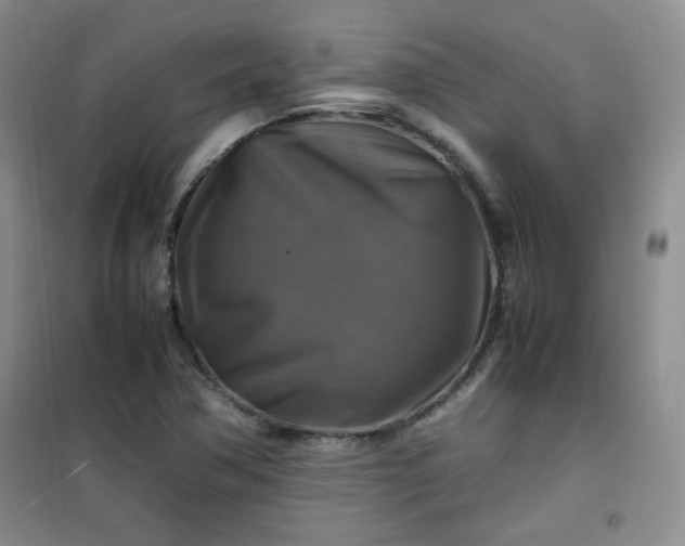 X0000100951362200807081208