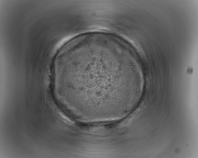 X0000100951363200807081208