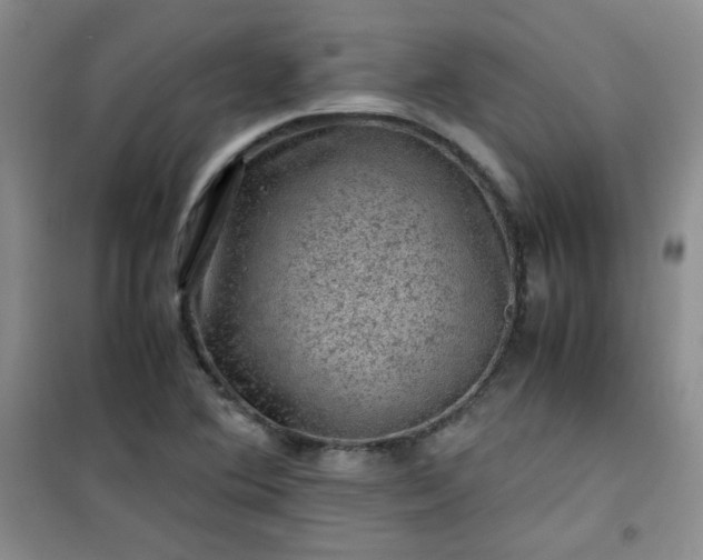 X0000100951364200807081208