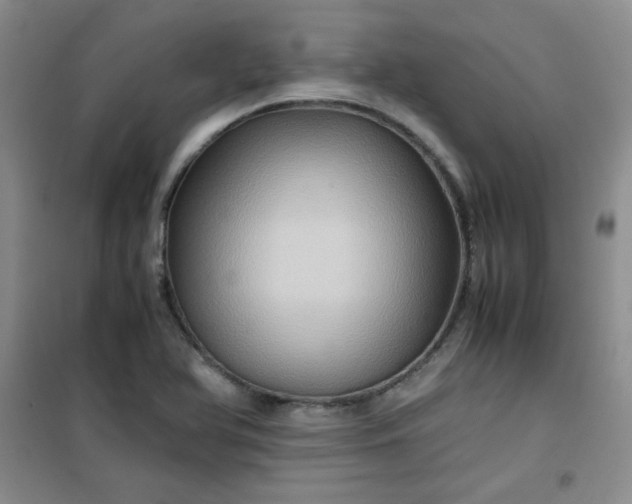 X0000100951366200807081208