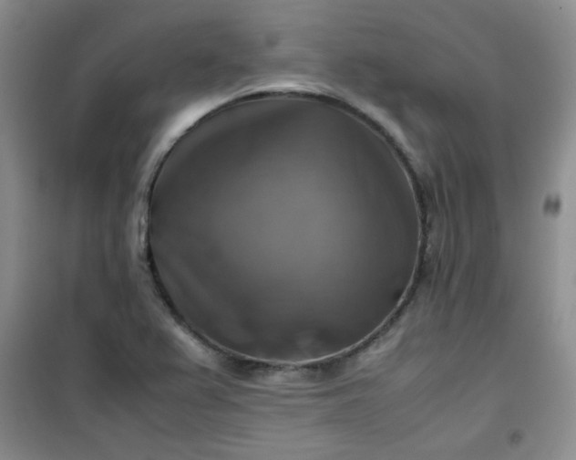 X0000100951367200807081208