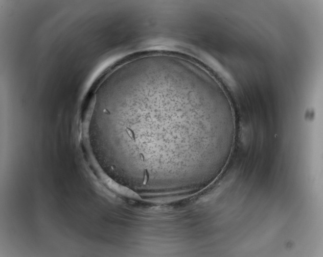 X0000100951368200807081208