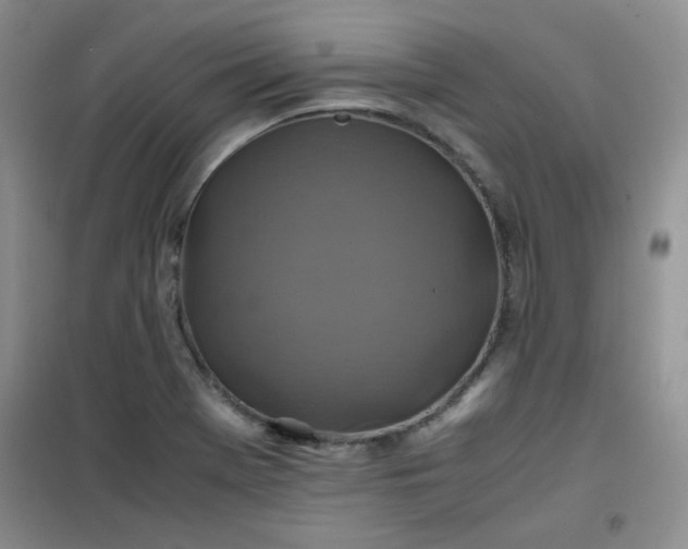 X0000100951369200807081208