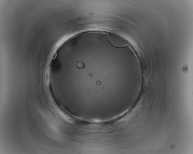 X0000100951371200807081208