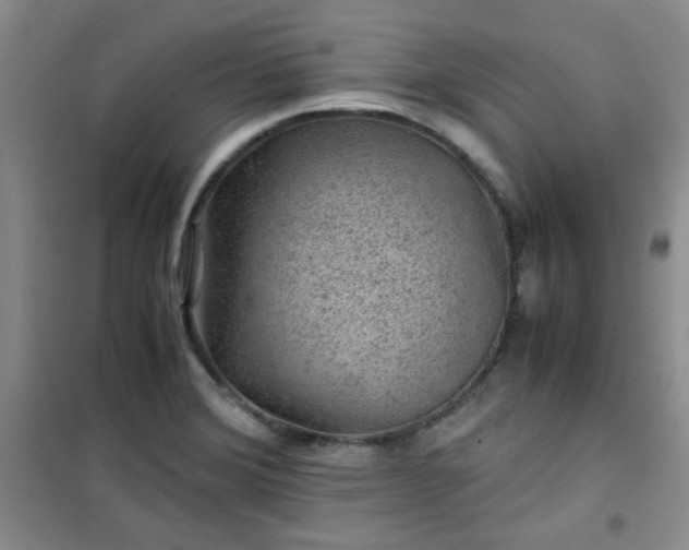 X0000100951372200807081208