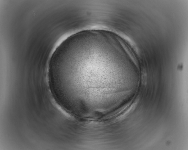 X0000100951374200807081208