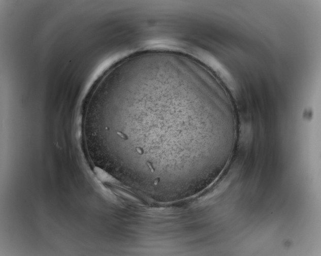 X0000100951376200807081208