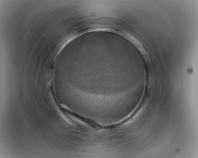 X0000100951377200807081208