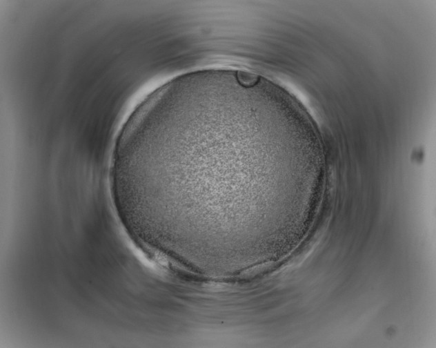 X0000100951379200807081208