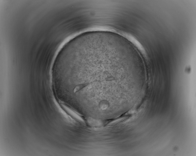 X0000100951380200807081208