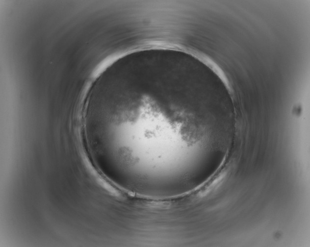 X0000100951381200807081208
