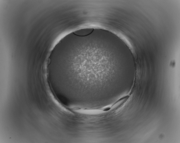 X0000100951382200807081208