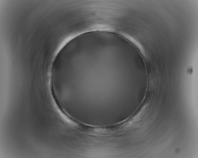 X0000100951383200807081208