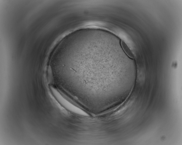 X0000100951384200807081208