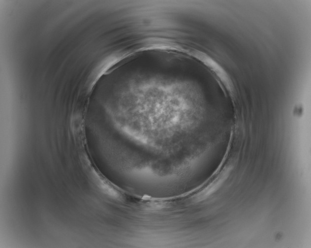 X0000100951385200807081208