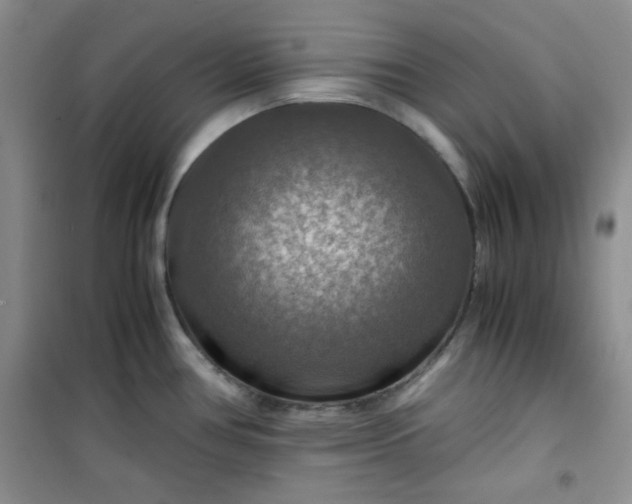 X0000100951386200807081208