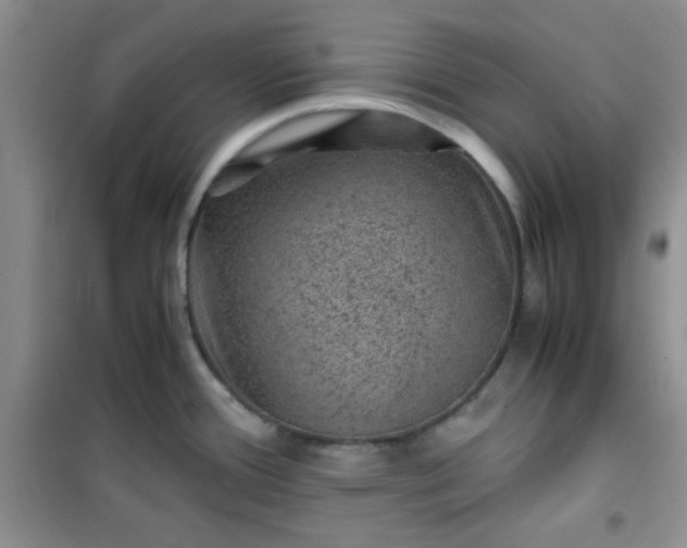 X0000100951388200807081208