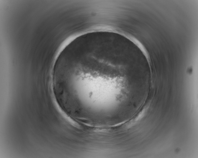 X0000100951389200807081208