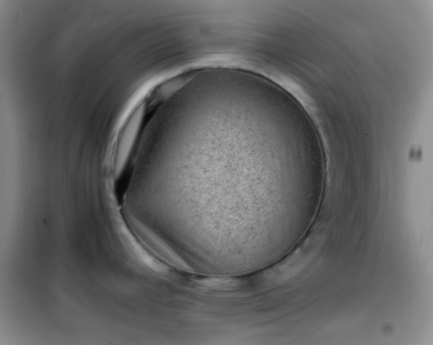 X0000100951392200807081208