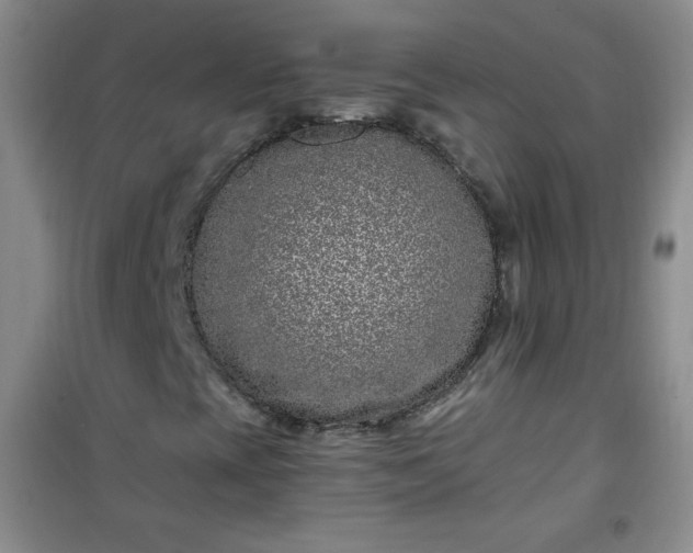 X0000100951393200807081207