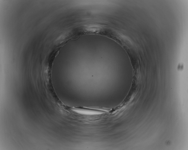 X0000100951394200807081207