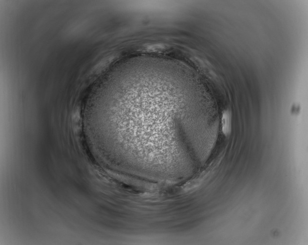X0000100951395200807081207