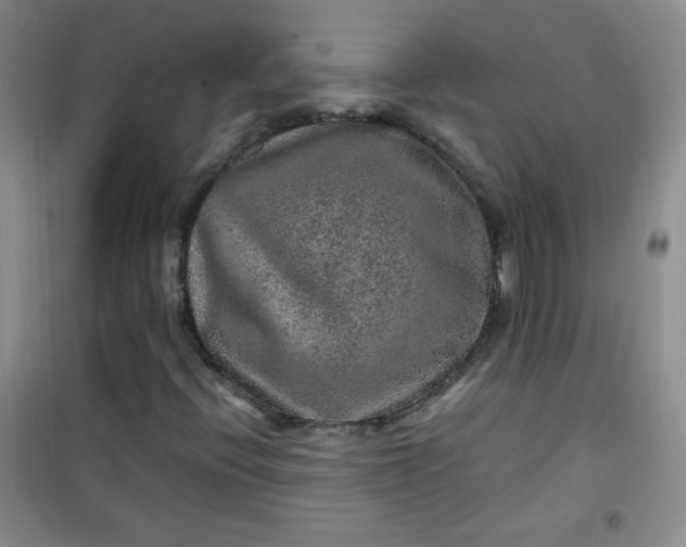 X0000100951396200807081207