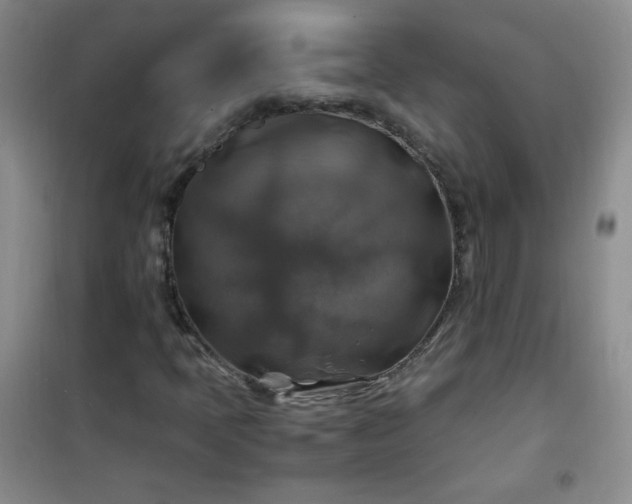 X0000100951397200807081207