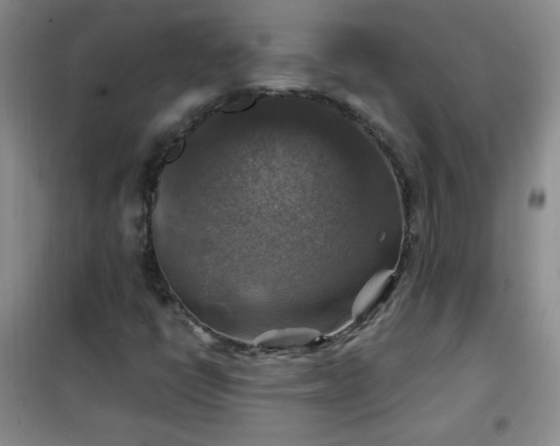 X0000100951398200807081207