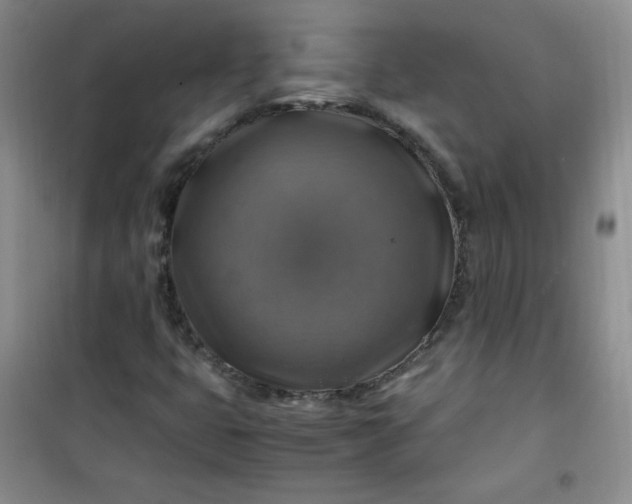 X0000100951399200807081207