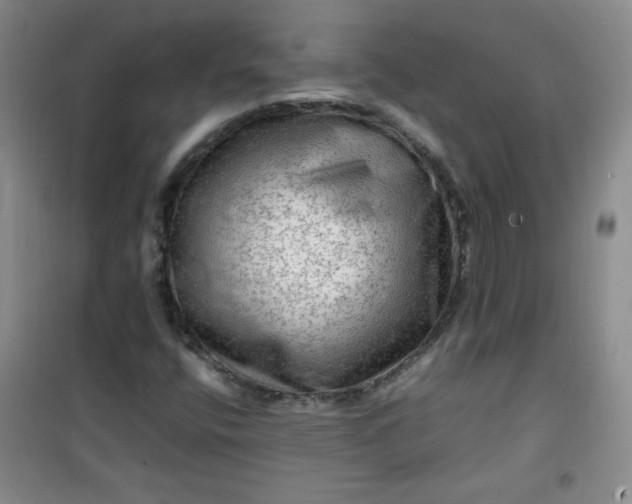 X0000100951400200807081207