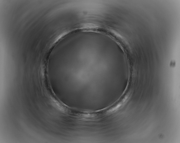 X0000100951401200807081207