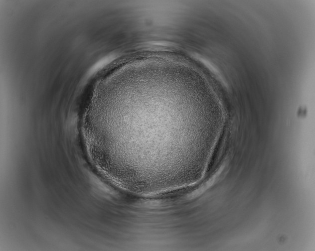 X0000100951402200807081207