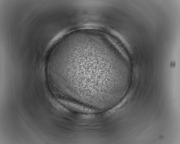 X0000100951403200807081207