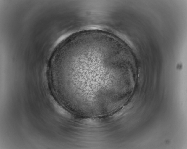 X0000100951404200807081207