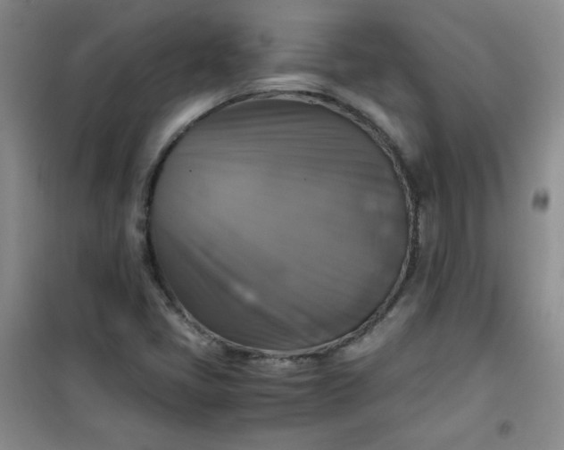 X0000100951405200807081207