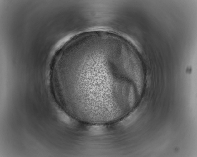 X0000100951406200807081207