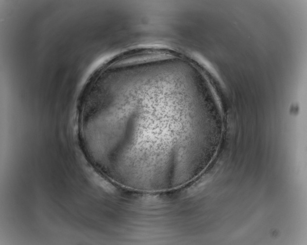 X0000100951408200807081207