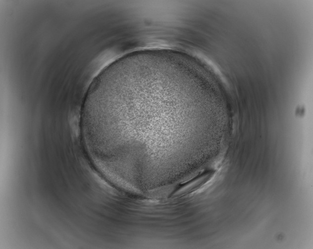 X0000100951409200807081207