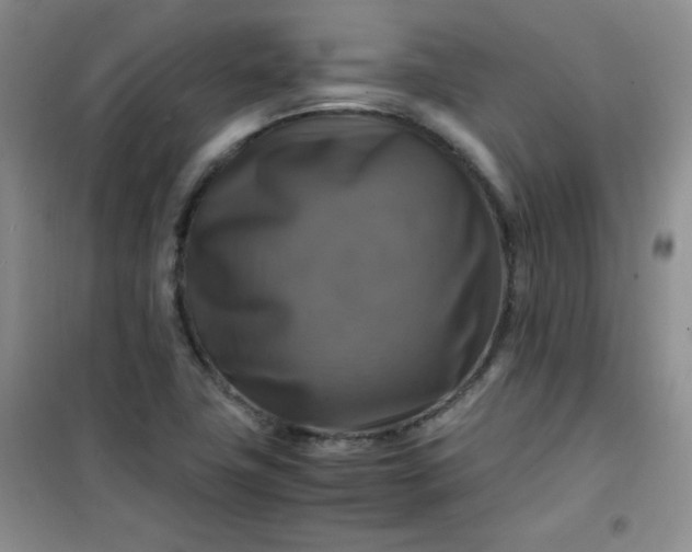 X0000100951411200807081207