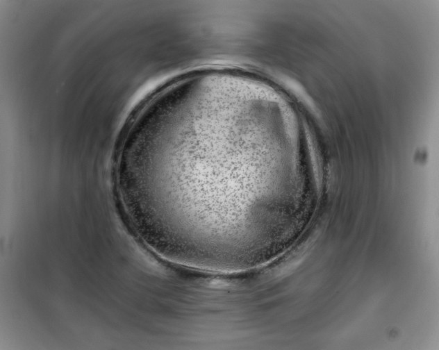 X0000100951412200807081207