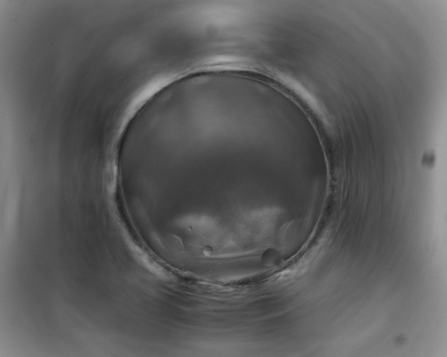X0000100951413200807081207